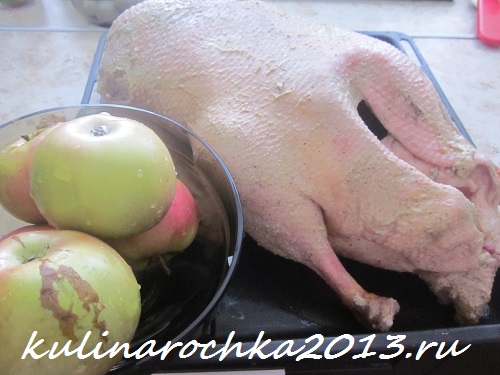 Коли прийшов час ставити гусака в духовку, фаршируємо його черевце яблуками (цілими або різаними) і чорносливом